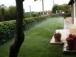 Cesped regando